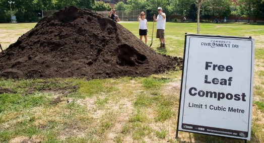 赶紧冲~！多伦多地区这些市镇可免费领树木/灌木、花、肥土、木屑