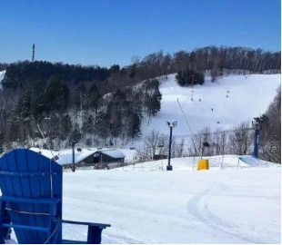 1月16-18日周末好去处:爬行展,免费戏剧,免费音乐会,船展,室内花展,免费乐高,婚礼展.......