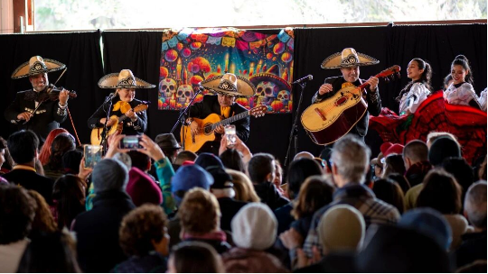 10月31日-11月2日周末好去处:南瓜游行,墨西哥亡灵节,圣诞集市,图书特卖,要糖,派对,灯光秀......
