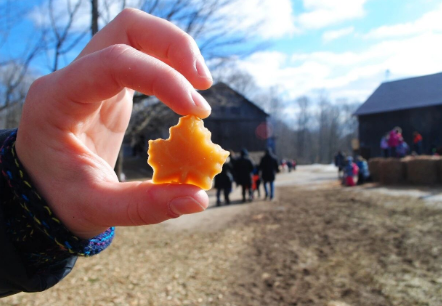 2月27日-3月1日周末好去处：枫糖节,露营和房车展,沉浸式展览,春节活动,灯光节......